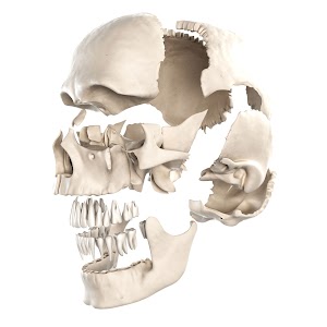 JMEmbalmer Formation place picture